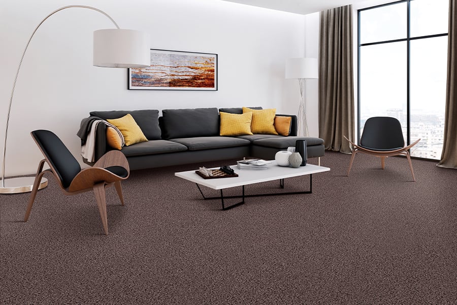 Carpet Idea