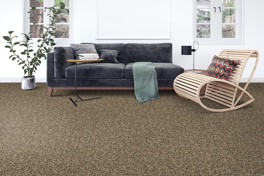 Carpet Idea